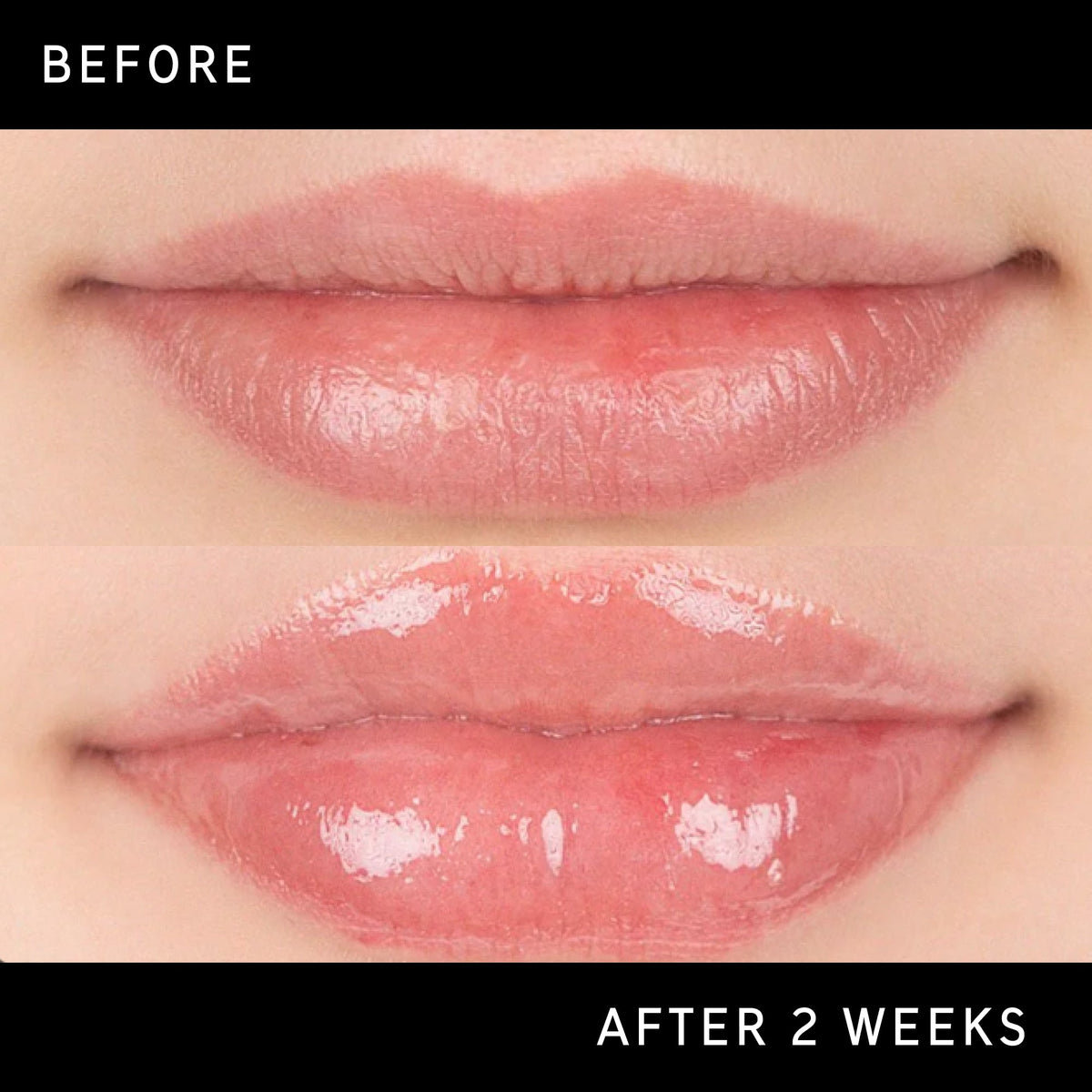 lip-plumping-duo-x3 DTC-Top15_Amends_Tripeptide-Lip_B_A.jpg